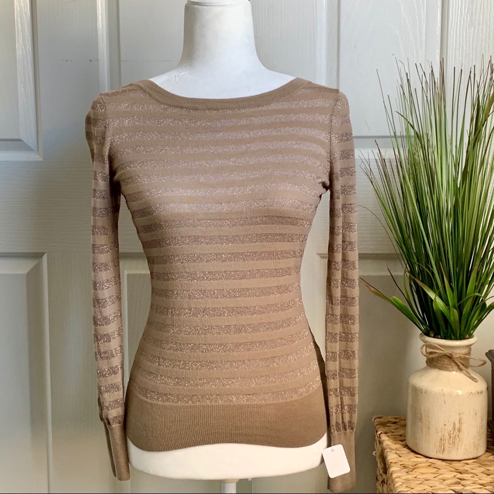 NWT TALBOTS Glittery Striped Knitted Blouse